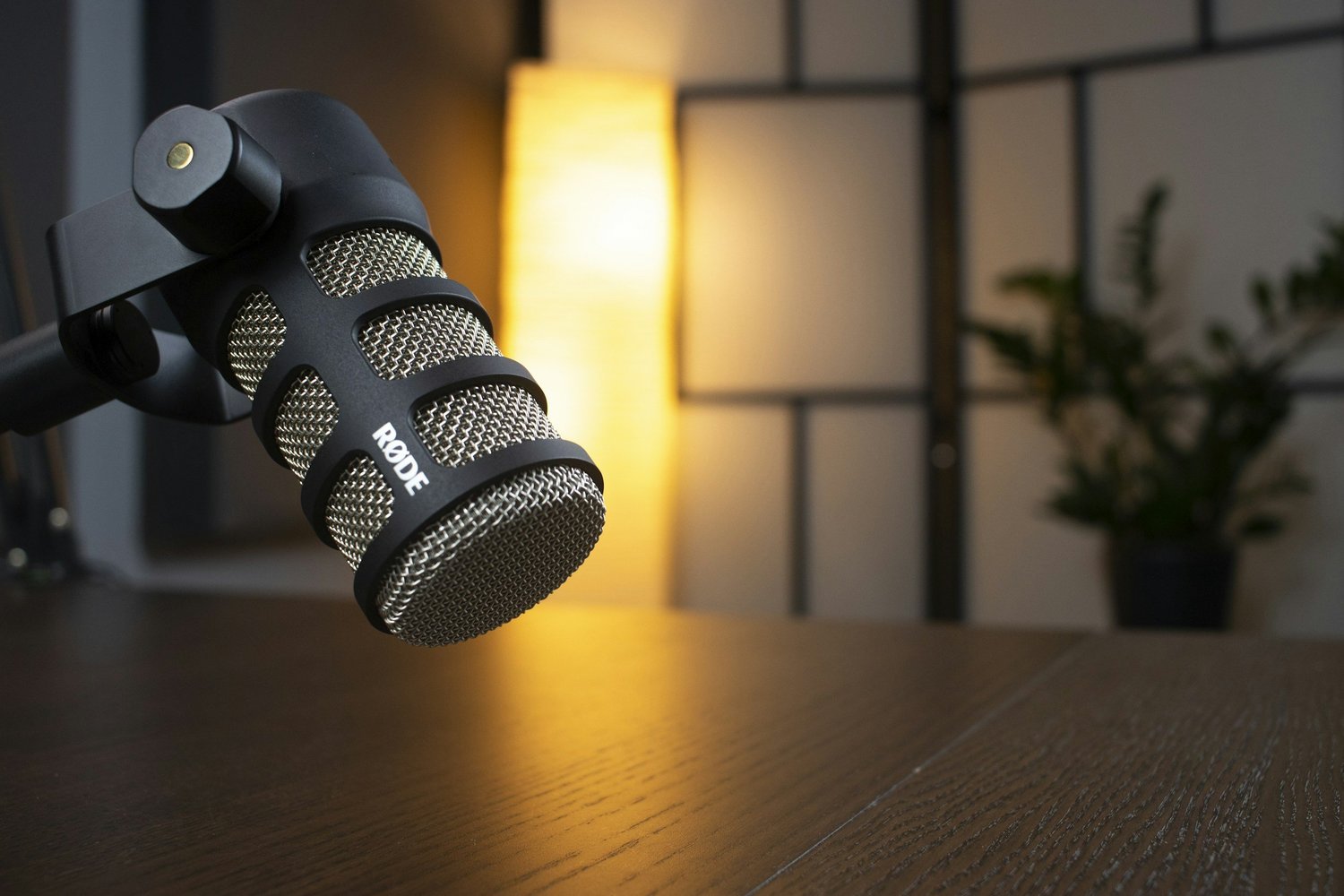A studio microphone lit by warm light in Arivee's recording space